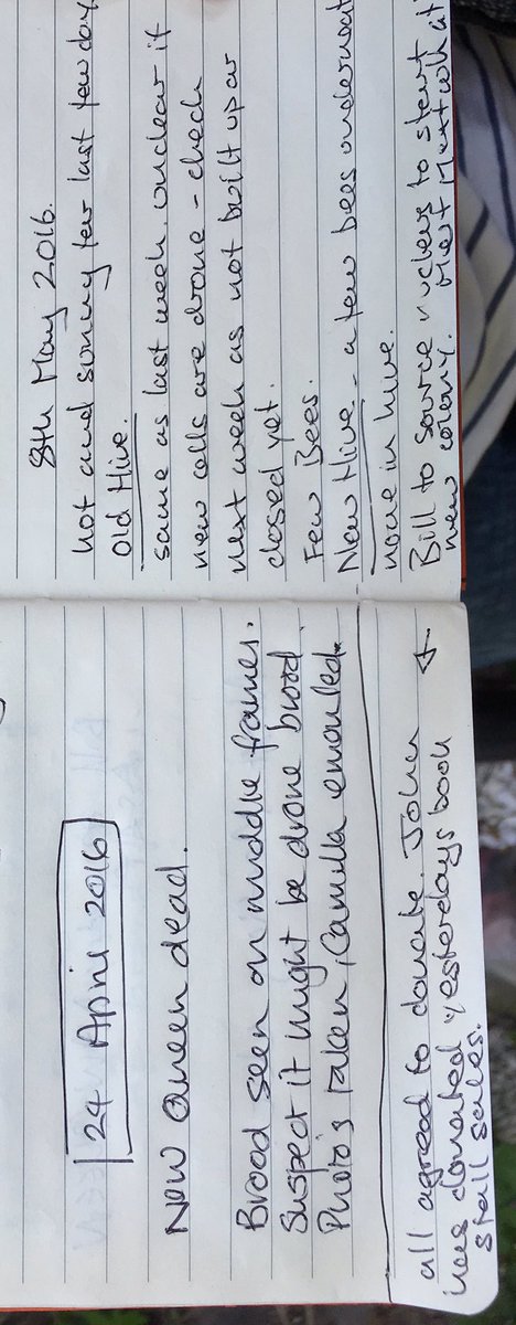 bee7forestgate's tweet image. 