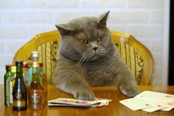 RostikZal's tweet photo. Как Фулл Хаус? https://t.co/qXTkJls1gN