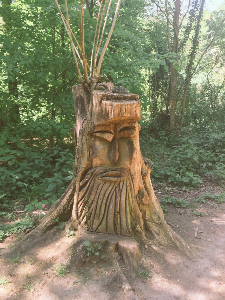 Mishkanainoo's tweet photo. #Tree_stump https://t.co/c29rfXAv1M