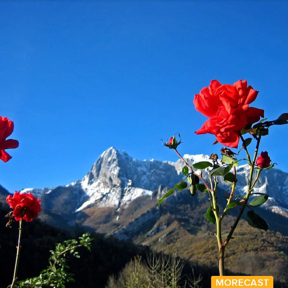 Tiatordos -PONGA-ASTURIAS -ESPAÑA - Visit: eu.morecast.com/share/572f2184…