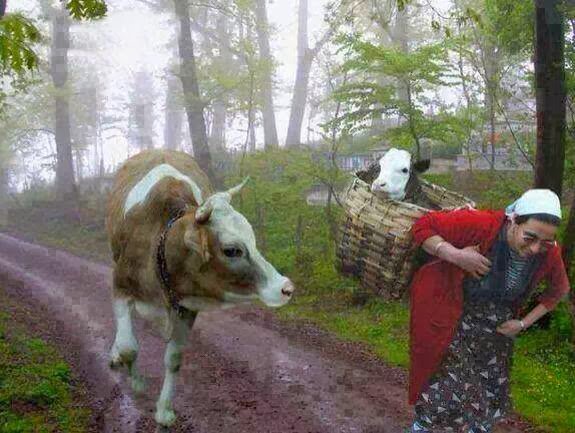 Annelerimizin #Annelergünü kutlu olsun.