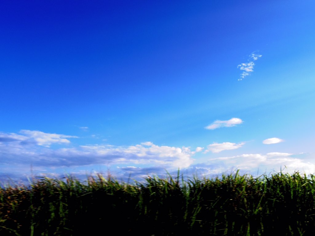 pii_2525i's tweet photo. 写真も好きなんです。
#PENTAX #カメラ女子 
#photograph 
#写真好きな人と繋がりたい 
#写真撮ってる人と繋がりたい
#カメラ好きな人と繋がりたい
#ファインダー越しの私の世界 https://t.co/gVaBIvMoHg
