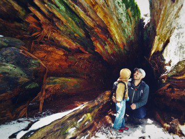 2TravelDads's tweet photo. Sequoia #NPS with Kids, hikes and sights to see #familytravel #findyourpark #sequoiaNPS https://t.co/8PDc3e9BFj https://t.co/j0t1qLXfB0