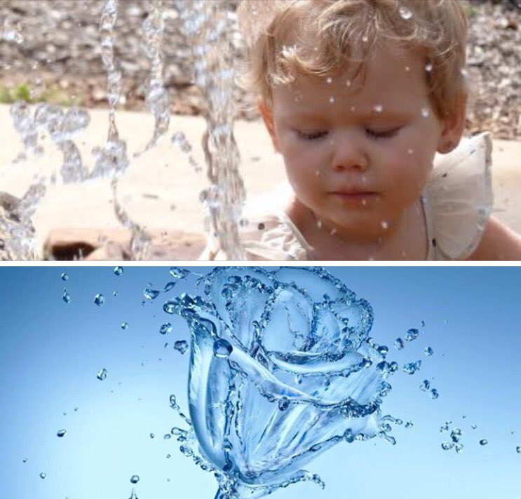 Washington Water tweet media