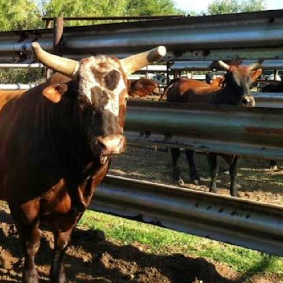 #happymothersday from Bushwacker and his mom, MO 110! Thanks <a href="/kindrapierce/">Kindra Pierce-Moreno</a>!