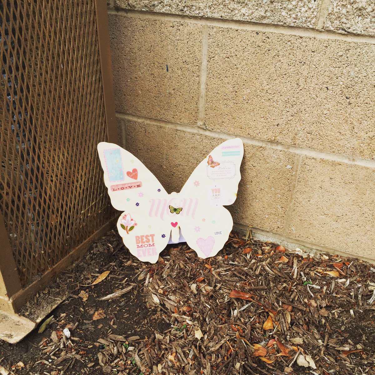 butterflybtc's tweet photo. Clue 1-You will find this #ButterflyDrop in a place named for California State Assemblyman John E Thurman. #Modesto https://t.co/yWtKiNbIxL