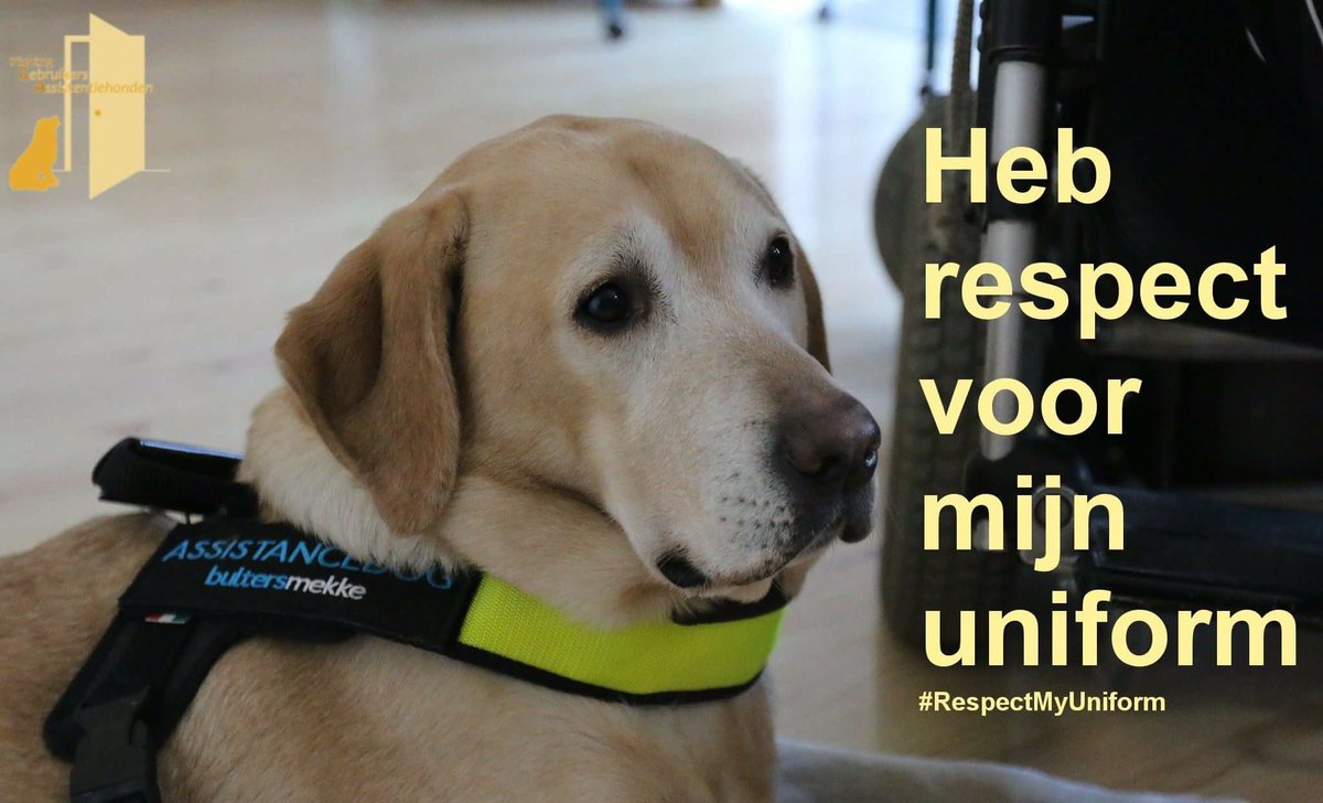 StichtingGA's tweet photo. #RespectMyUniform. Tess!!!😎👍🏿 https://t.co/Xj8zh4EiVP