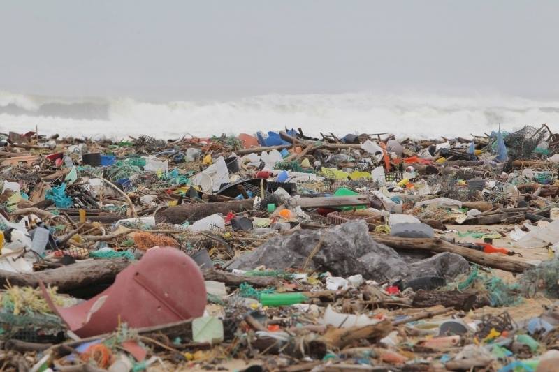 monde_biodi's tweet photo. " Dans un environnement qui change, il n'y a pas de plus grand risque que de rester immobile. " - Jacques Chirac. https://t.co/GDI4ZJl1l6