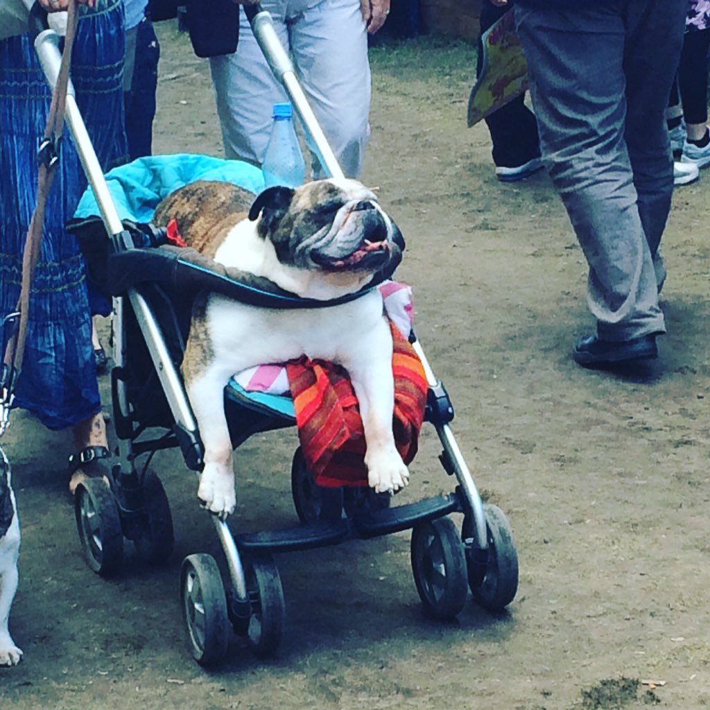 "Are you sure you don't want to walk for a bit?"
"Yeah bro, I'm chill"