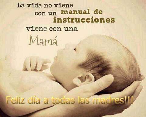 gorditafabiola's tweet photo. Para todas en el mundo https://t.co/gBgpXQ4148
