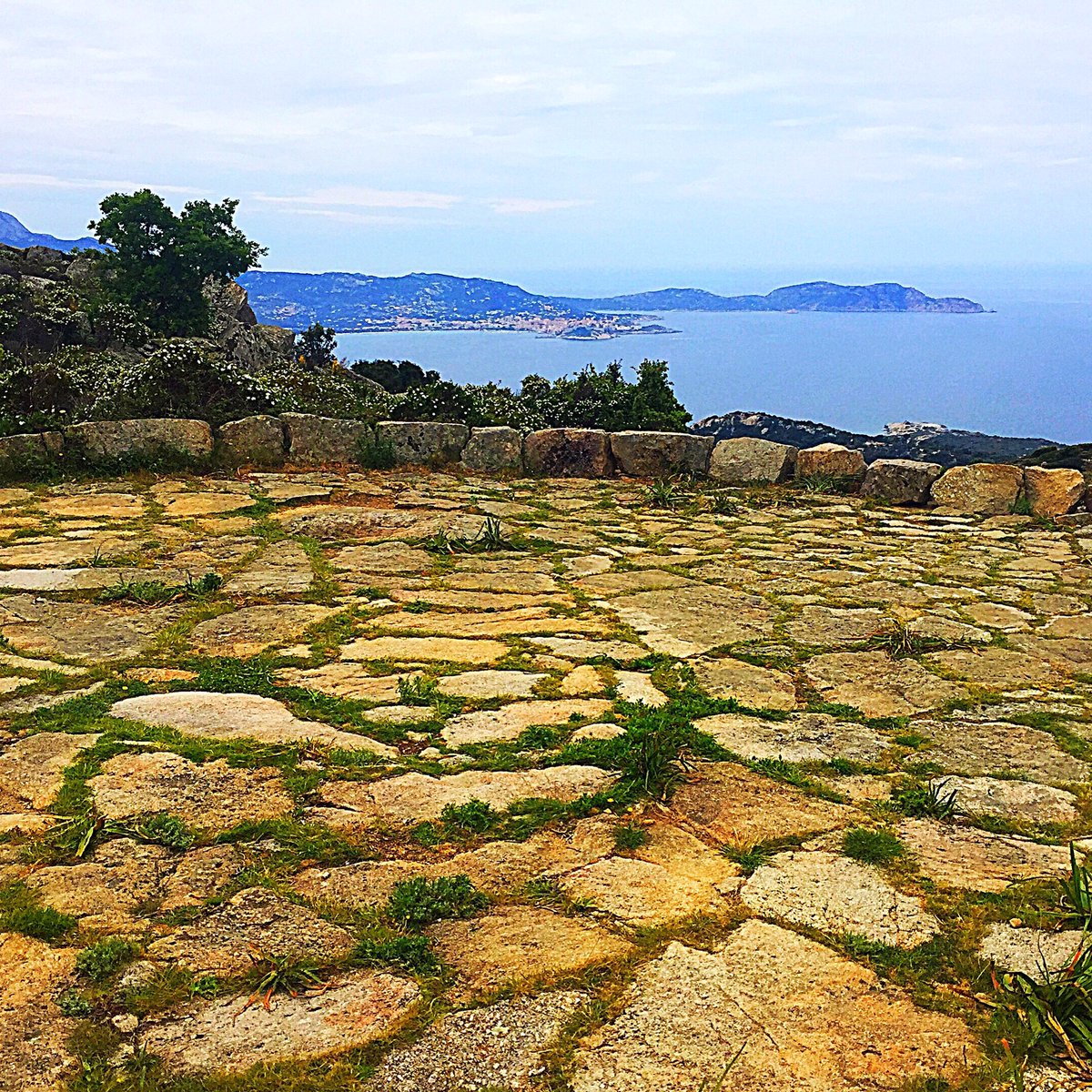 AlbertiniB's tweet image. #Occi #Balagna #Veranu