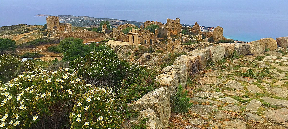 AlbertiniB's tweet image. #Occi #Balagna #Veranu