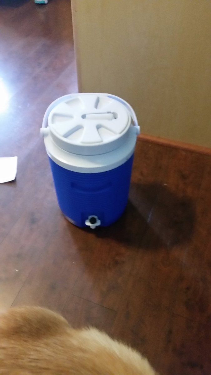 CoachJBecker's tweet photo. Anyone lose this yesterday?  The jug, not the dog. https://t.co/7uf7sqoPba