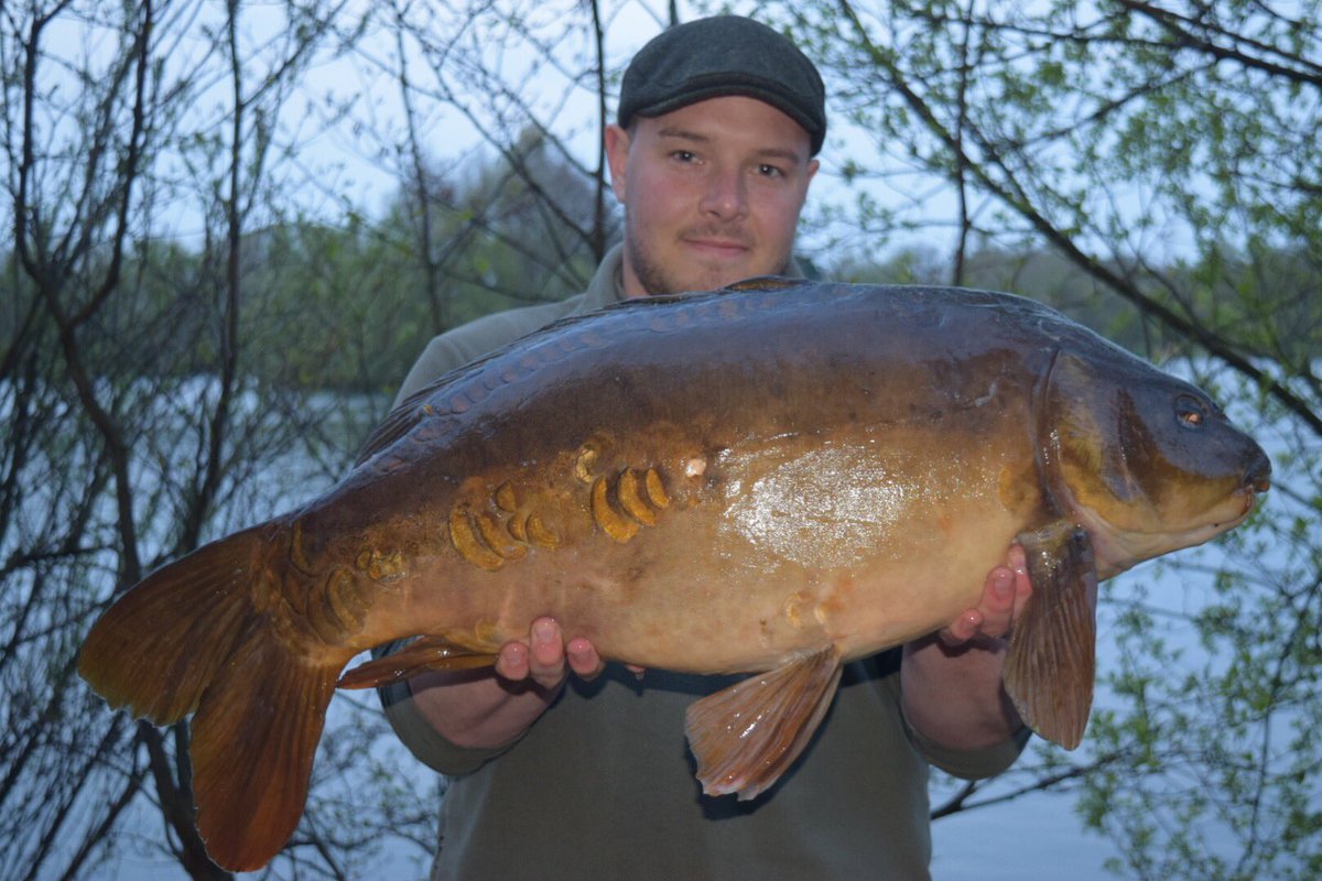HulmeBall's tweet photo. @ccmoore_baits a northern special at 26.7lb on a single white northern special white #singlesuccess https://t.co/943qhun1EM