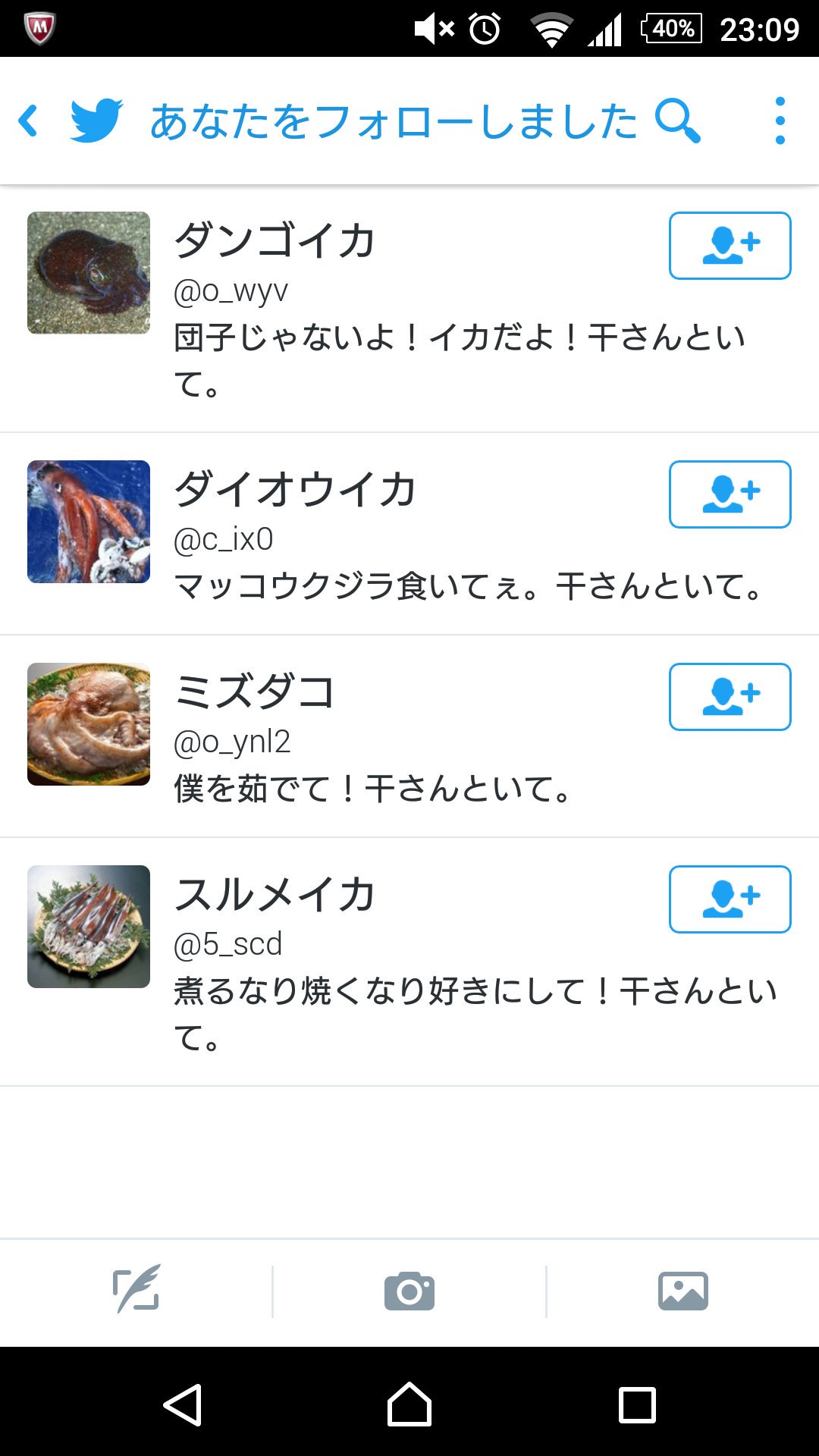 ダンゴイカ O Wyv Twitter