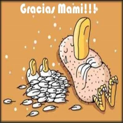 ¡Feliz día de las madres! ¡Las amamos! Gracias por la vida, el amor y los regaños #amor #mamá #díadelamadres