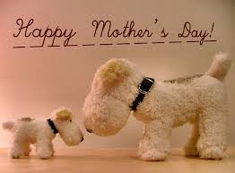 Happy Mothers Day to all the Fur Baby Mommas x