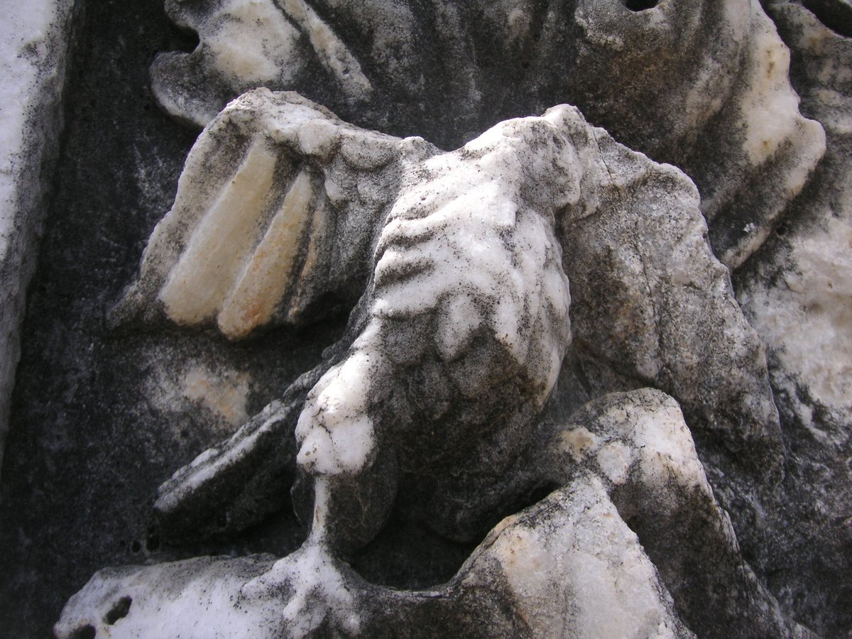 Kara Kartal , antik çağlardan beri Kutsal olan.............