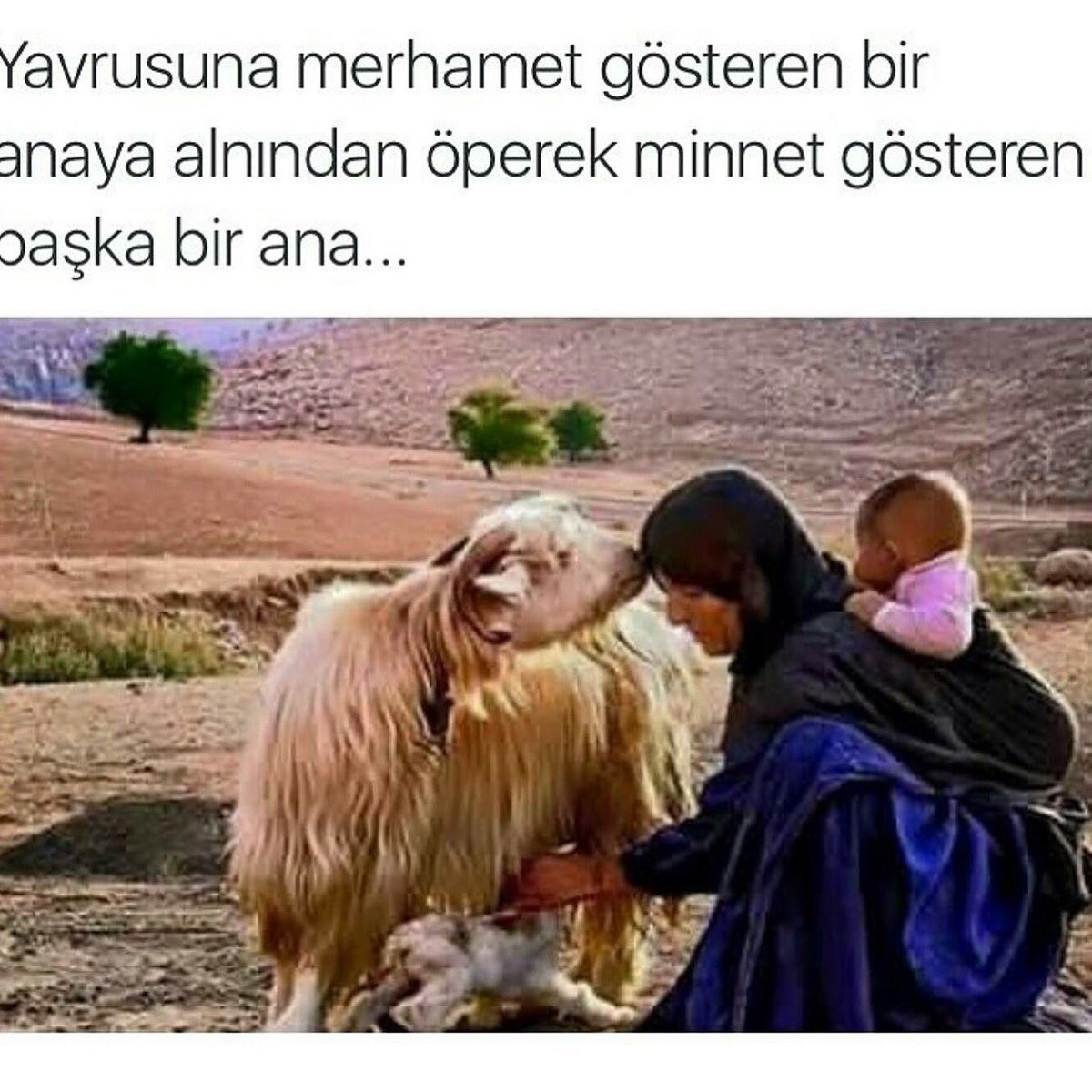 Başta Annem olmak üzere tüm Annelerin günü kutlu olsun