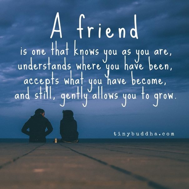 tinybuddha's tweet photo. A friend is one that knows you as you are, understands where you have been, accepts what you have become, and... https://t.co/ix259Uc4BL
