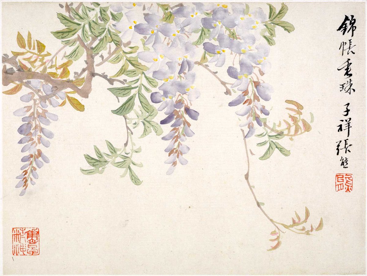 harvartmuseums's tweet image. Interested in Chinese bird-and-flower paintings? Gallery talk w/ Yan Yang Mon 5/9 at 12:30: hvrd.me/4nq9VC