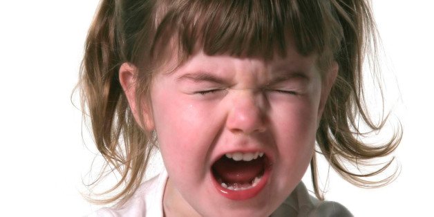 Animate CC News tweet media