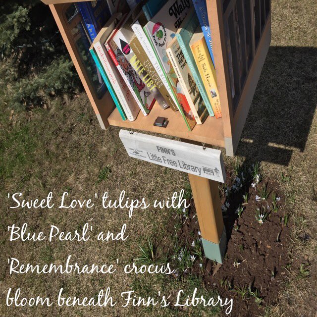 FinnsLibrary's tweet image. Mariday Park #JanesWalk will stop by our #LittleFreeLibrary today. We&apos;ll add our overflow books, lots to share #TBay