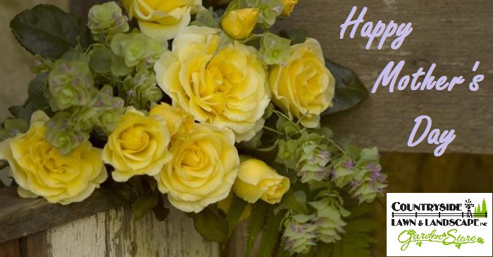 CountrysideLL's tweet image. Happy #MothersDay from the Countryside family!