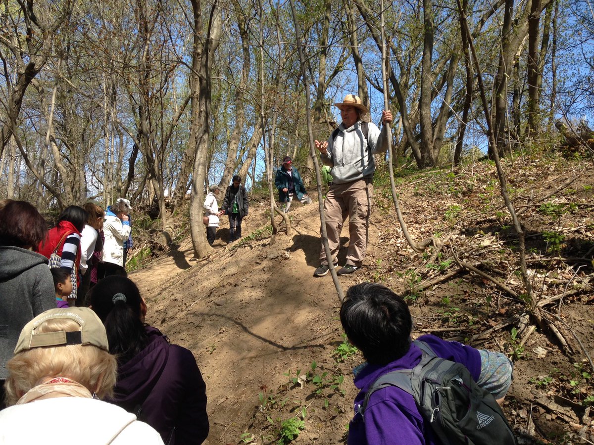 Cellophane bee home built into the hillside #JanesWalk #thebeewalk
