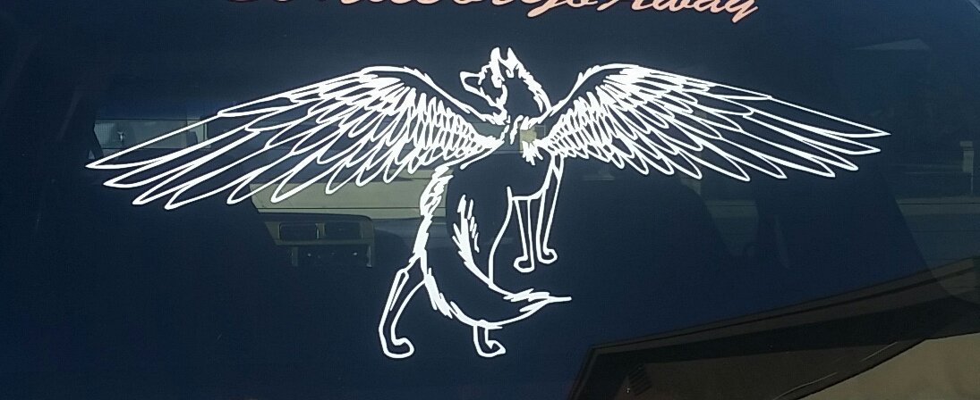 1stickerboy's tweet photo. SUV back window.
#wolf #wolfwithwings # girlslikeit https://t.co/Vz73mfn3dE