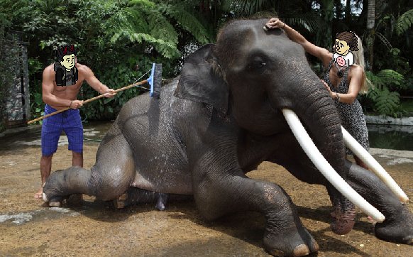 danihabboon's tweet photo. Scurd and Samfa washing their pet elephant <3 https://t.co/ICmcNyrwxW