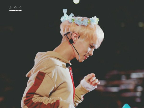 choimings's tweet photo. flower crown jjong is so important pls protect him https://t.co/9jiZL3AW8m