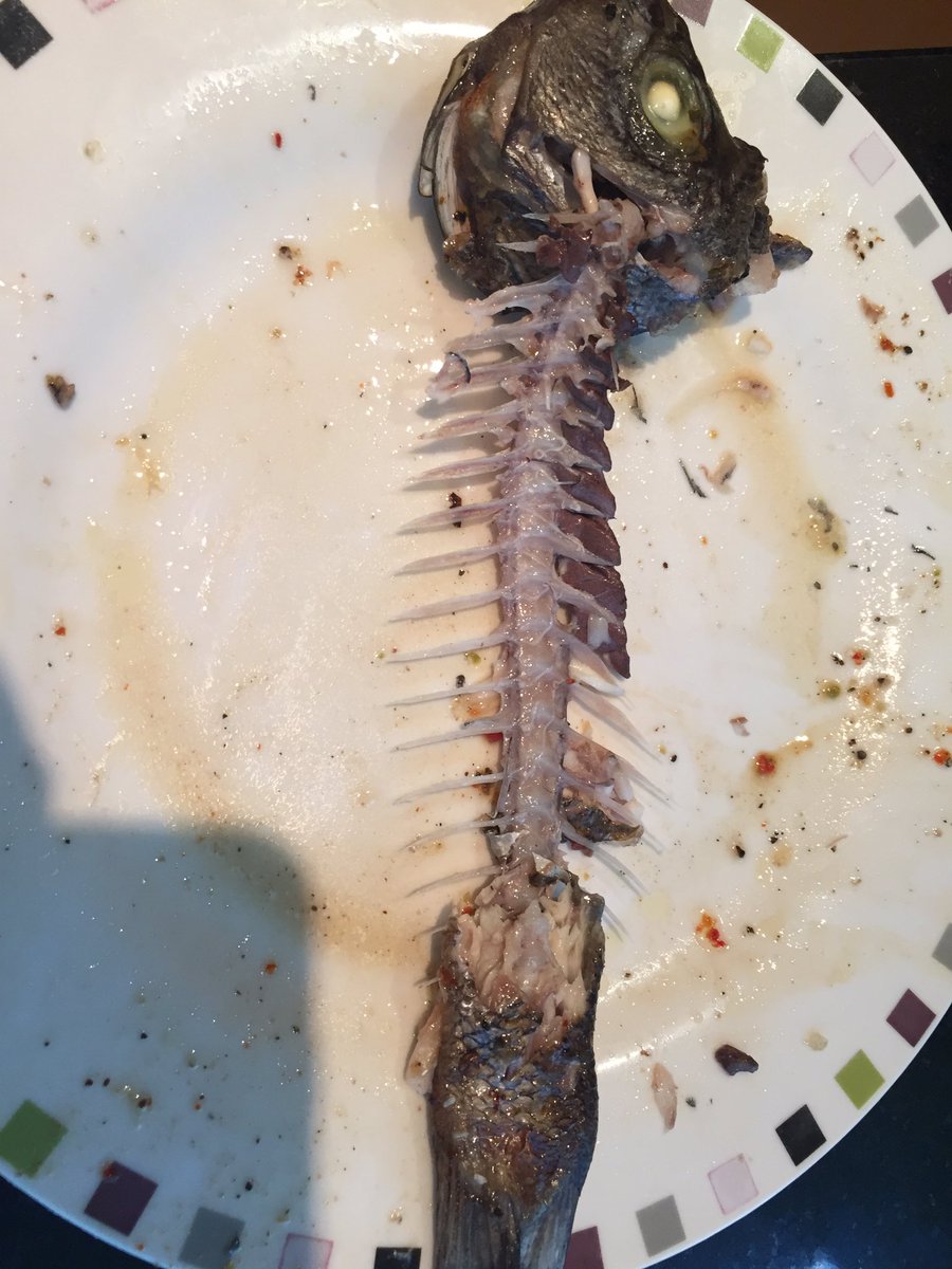 jadymir's tweet photo. Three stages lunch
1 #FreshFish 2 #CookedFish 3 NoFish. https://t.co/IlgtIGUjIq
