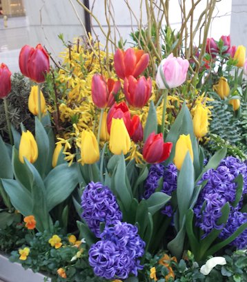 MyTOFD's tweet photo. Happy Mother's Day! Get your mom some flowers to show her how much she's loved https://t.co/h45oLWIeXE
