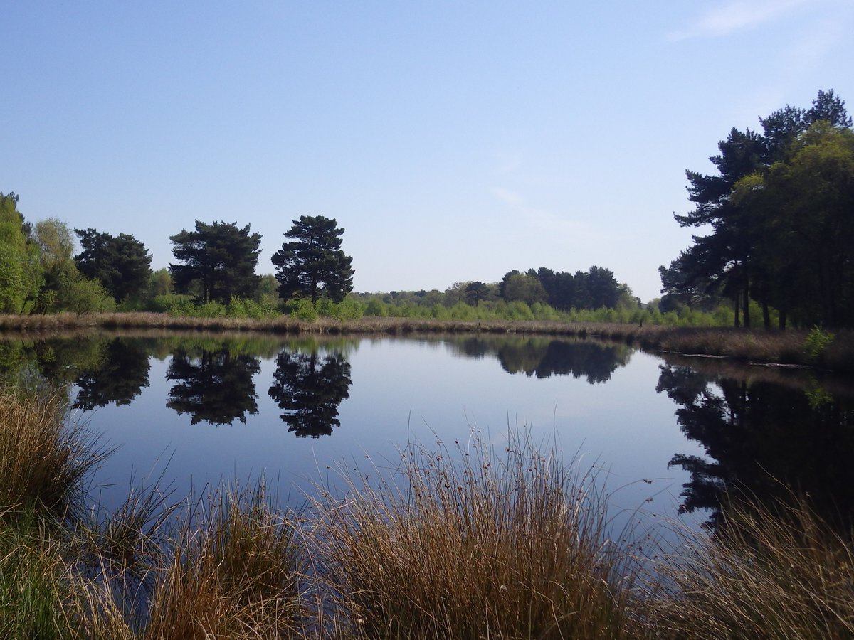 Anne Carter tweet media