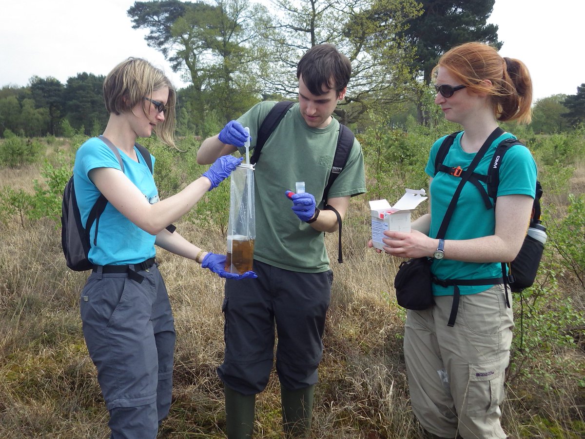 Anne Carter tweet media