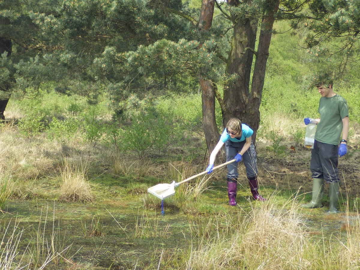 Anne Carter tweet media