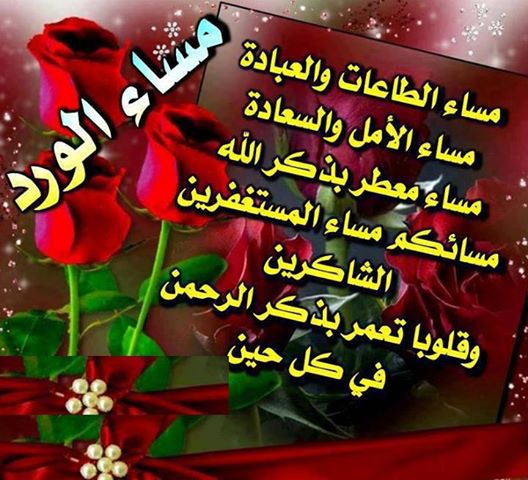 يحلو المساء بوجود من نحب فهل تعلمون أنكم أجمل ما احب
مساء الخيرات على عيونكم الحلوات