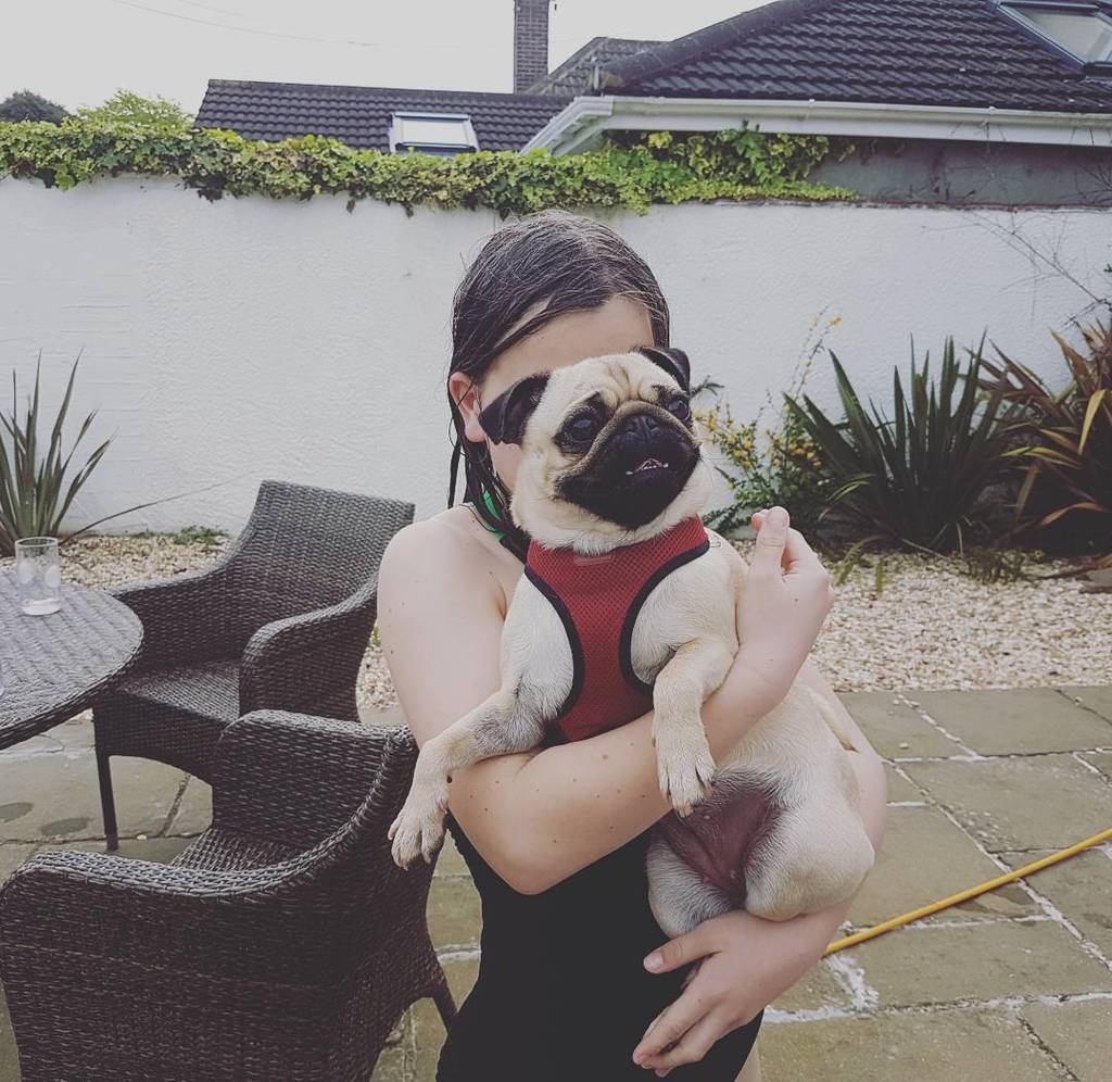 Puglee_Pug's tweet photo. Eleanor and I ๐ถ๐ฑ๐ #summer #fun #friends #pugdiary by pugdiary_ https://t.co/ZzHQTyzb9S