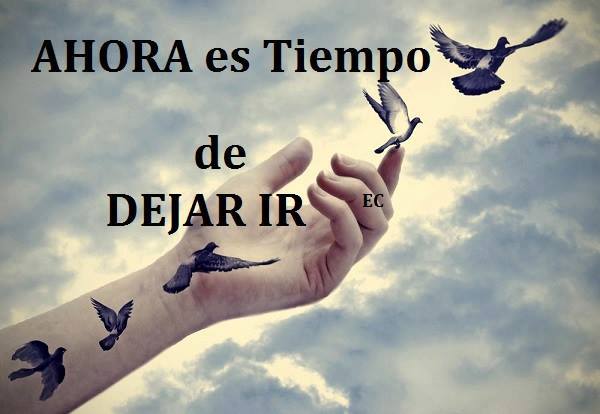 Mariael62076398's tweet photo. Clarissa levanta el vuelo. Ya eres Libre. Eres una Reina Felicidades paloma.#NBLClarissaVoto https://t.co/T8GvEi8e2M