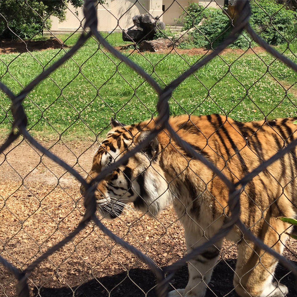 CoachBobStarkey's tweet image. Had to stop by and say hello to an old friend #WhatsUpMike