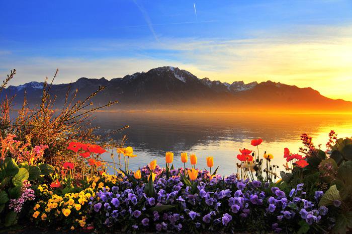 VladimerAntonov's tweet photo. Lake Geneva / Lac Léman, Swiss Alps https://t.co/nGM8SjOQb1