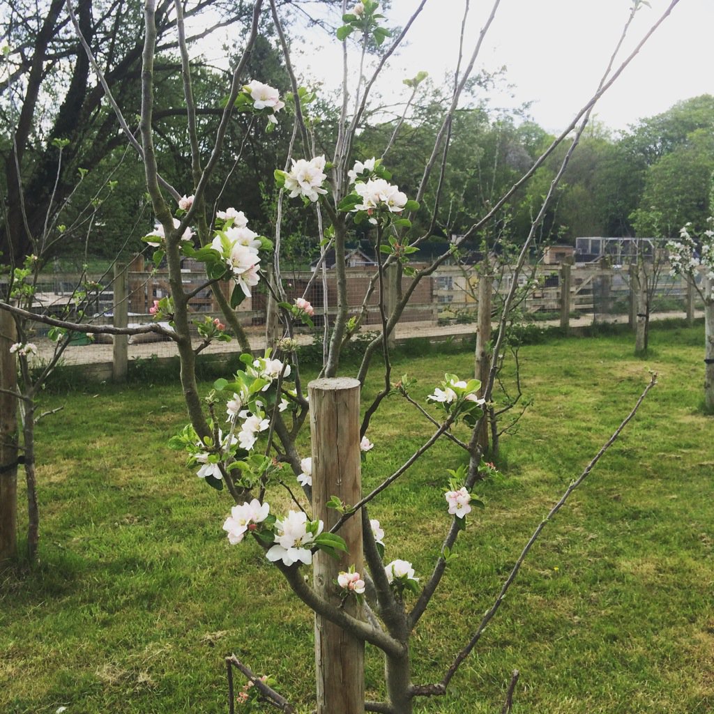 What an absolute scorcher of a day! Our plants, animals &amp; keepers are loving it! #SummerHeat #BreakOutTheSprinklers