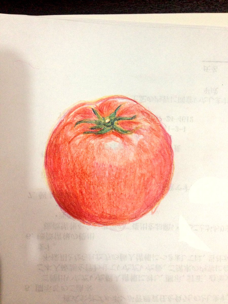 狼 בטוויטר いつの間にかトマト描いちゃってるんだけど 色鉛筆 イラスト完成