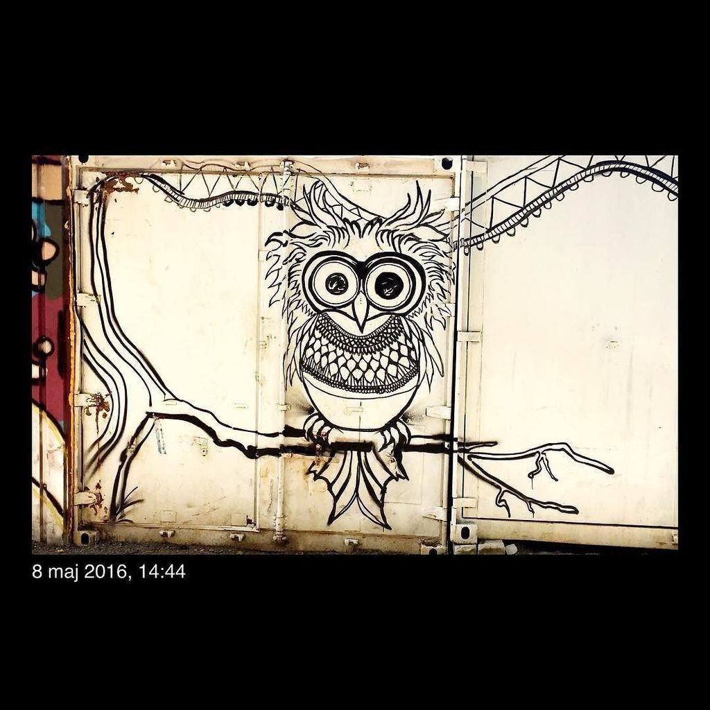 BrujaMaracc's tweet photo. #springremake #springremake2016 #graffiti #graffitifestival #graffitiigers #graffitiart #graffitiworld #graffitiart… https://t.co/lqFFvnbOsV