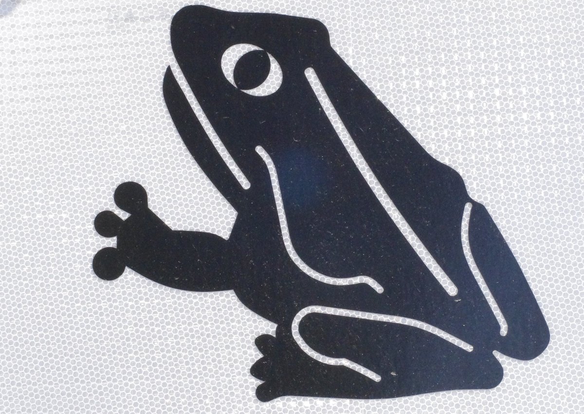 DoktorZorn's tweet photo. #Mr_Frog! https://t.co/EUtE89gVbH