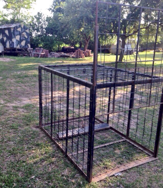 WHATDAHECT's tweet photo. #sale #dm #hogcage #hogtrap #baconcatcher https://t.co/41vQDATCfE