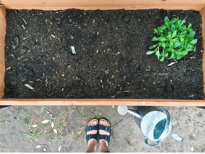 HaydenLWPD's tweet photo. Plantando la droga :) https://t.co/sTslGmz56E