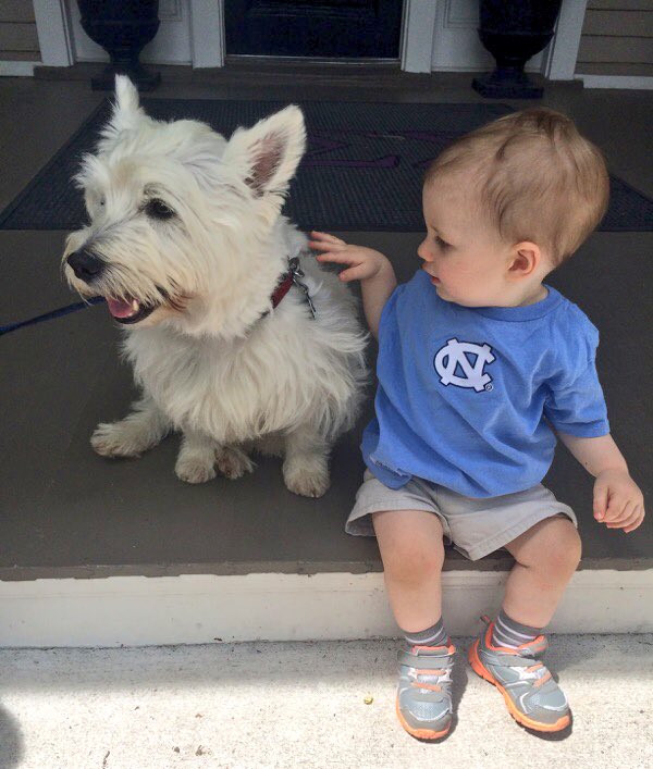 cdroam's tweet photo. Be still my heart https://t.co/VefD3tS3Vh