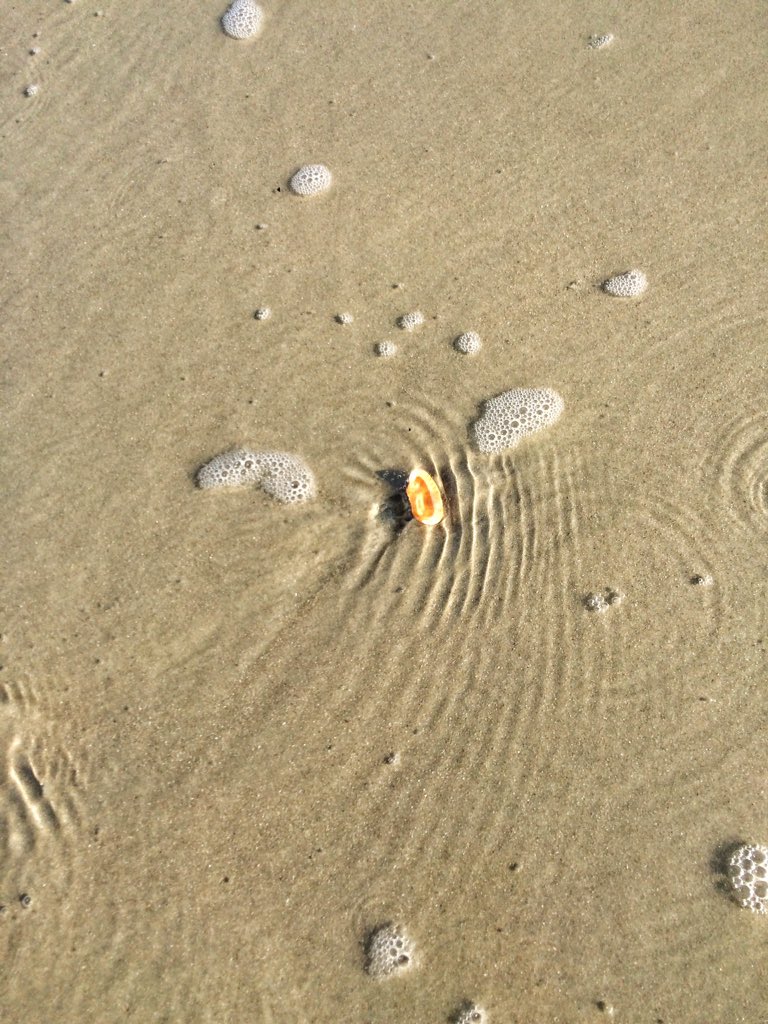 DrPhiltill's tweet photo. 9) patterns in flowing water that leave patterns in the sand (scour pools, erosional remnants...) https://t.co/rqqA1NdG8S